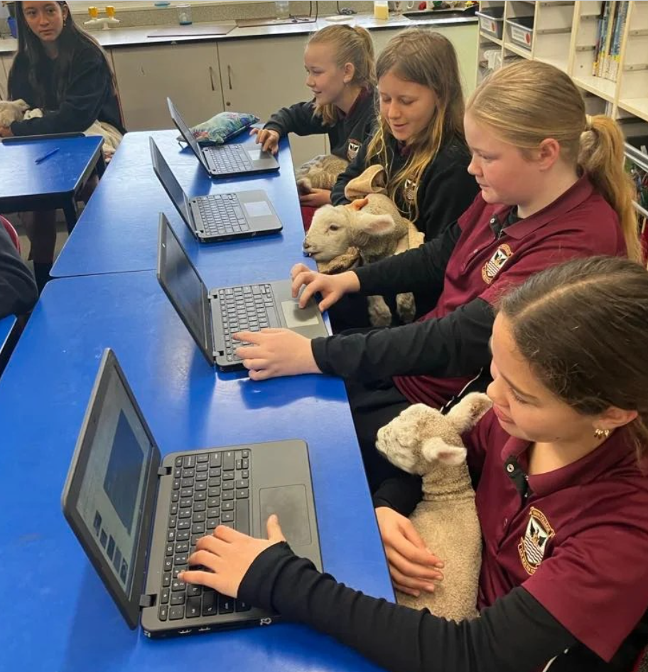 All Lambs on Deck: An Interview with Ms Clare on Connecting Students with Animals and the Classroom