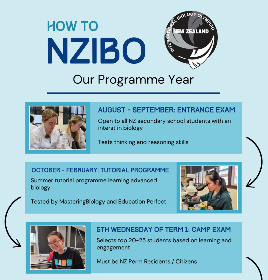 HOW TO NZIBO