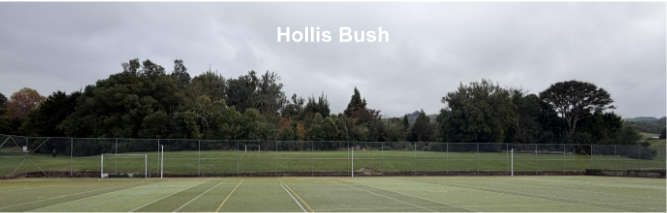 HOLLIS BUSH – A CALL FOR HELP
